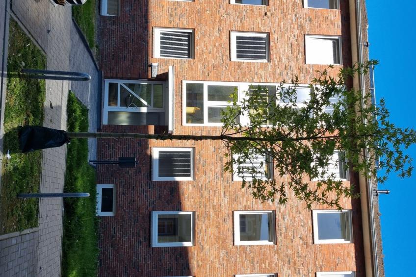 Kernsanierte Ferienwohnung in ruhiger und zentraler Lage - foto 10