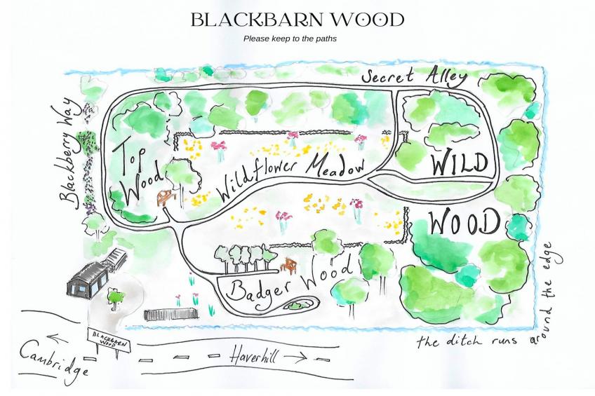 Blackbarn Wood - foto 17