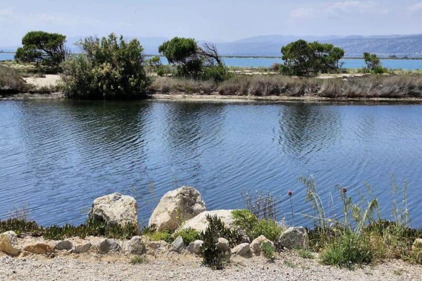 Résidence Hawai 1 - foto 14