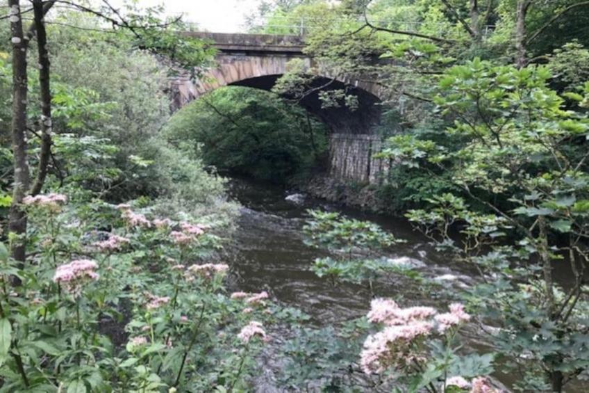 Shaky's Penthouse - foto 20