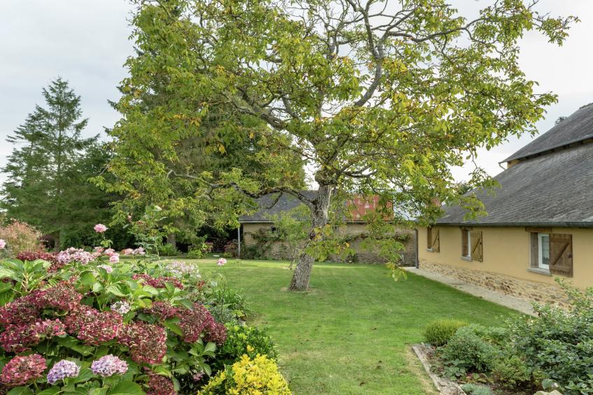 Maison de vacances - LANRELAS - foto 35