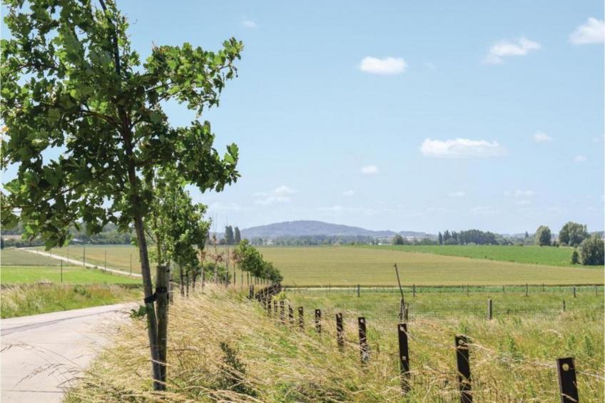 Hommelhove - foto 41