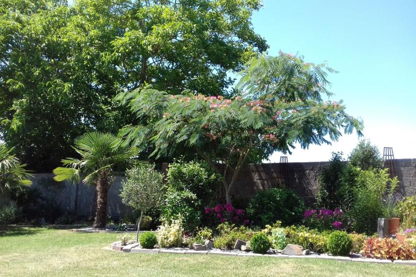 Gite Pamphilienne mit Blick auf Mont Saint Michel - foto 28