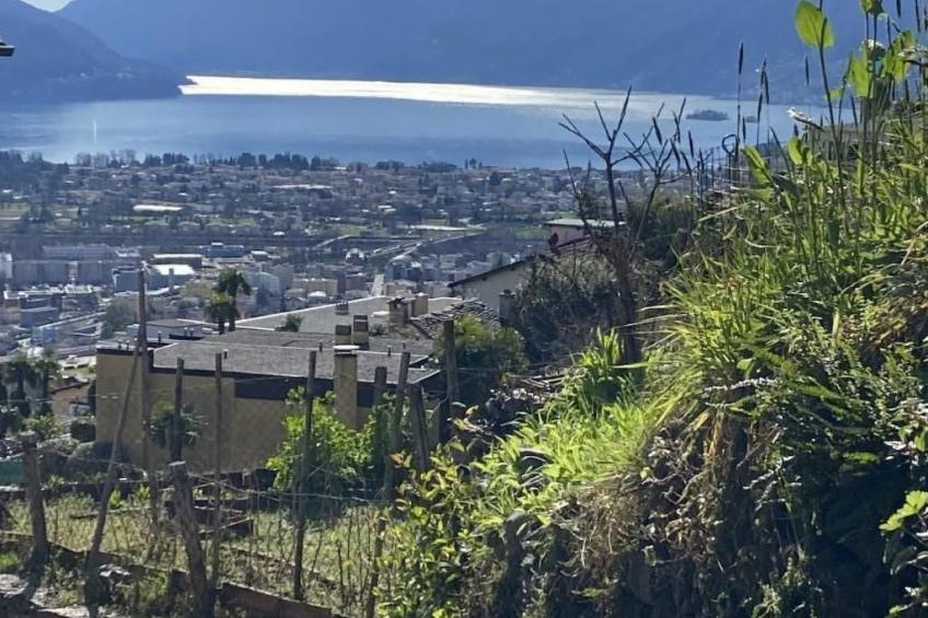 Panoramawohnung Orselina Locarno - foto 4