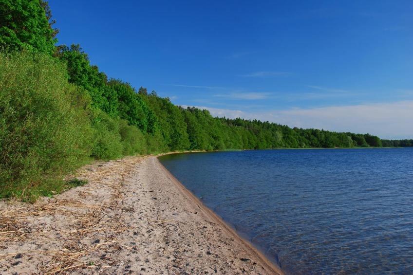 Domek wakacyjny LAWENDA dla max 4 osób Grąbczyn - foto 28