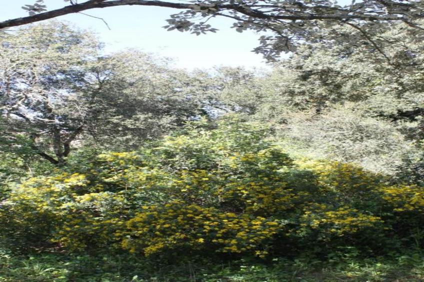 Grande Villa Vue Panoramique - foto 26