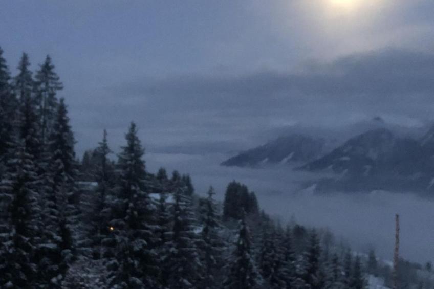 Bergchalet - foto 36