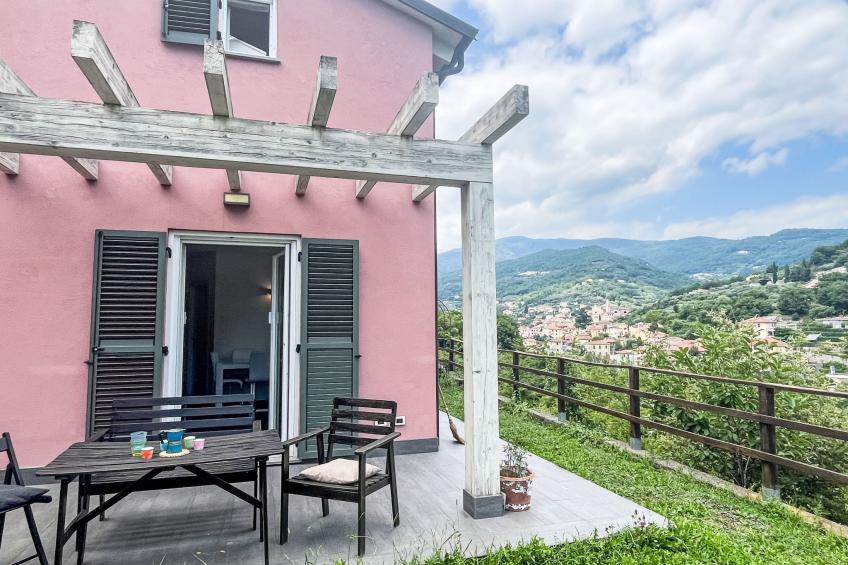 Le radici dell´ulivo - foto 17