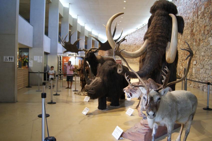 Le mas de l'Aven Unterkunft le mûrier - foto 45