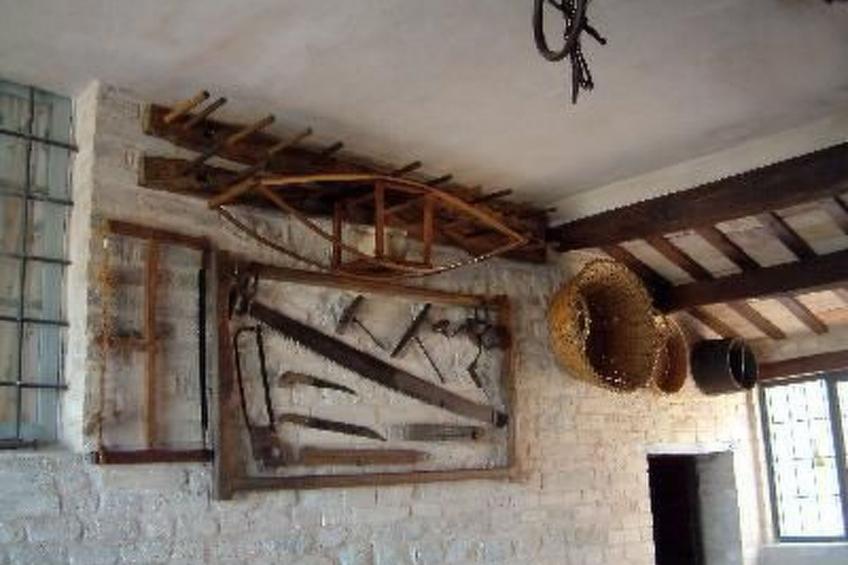 Grünes Appartement - foto 7