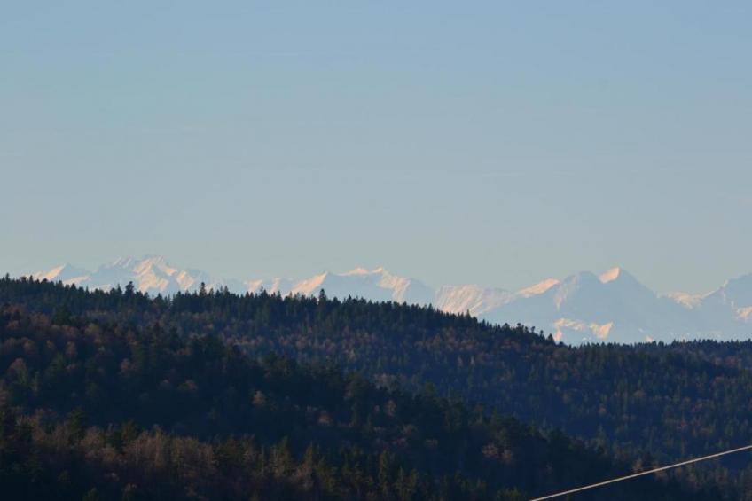 Schwarzwald - foto 36