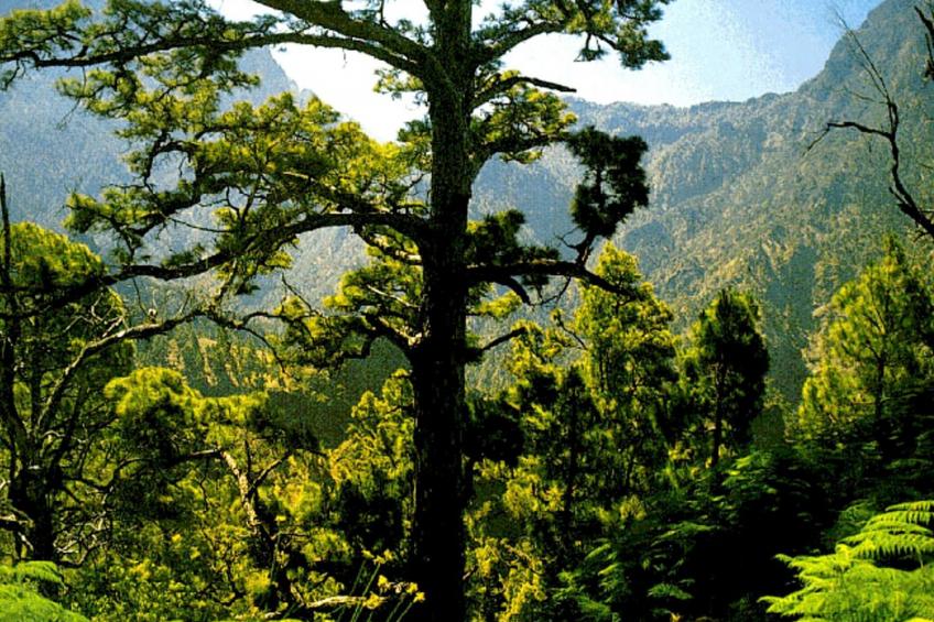 Anspruchsvolle Ferienvilla mit Panoramablick - foto 35