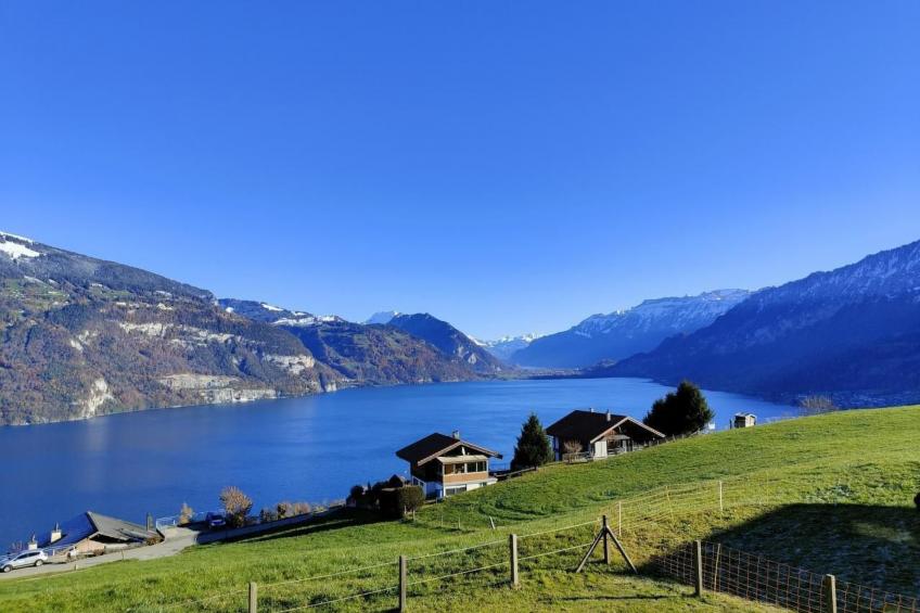 Traumblick Krattigen - foto 4