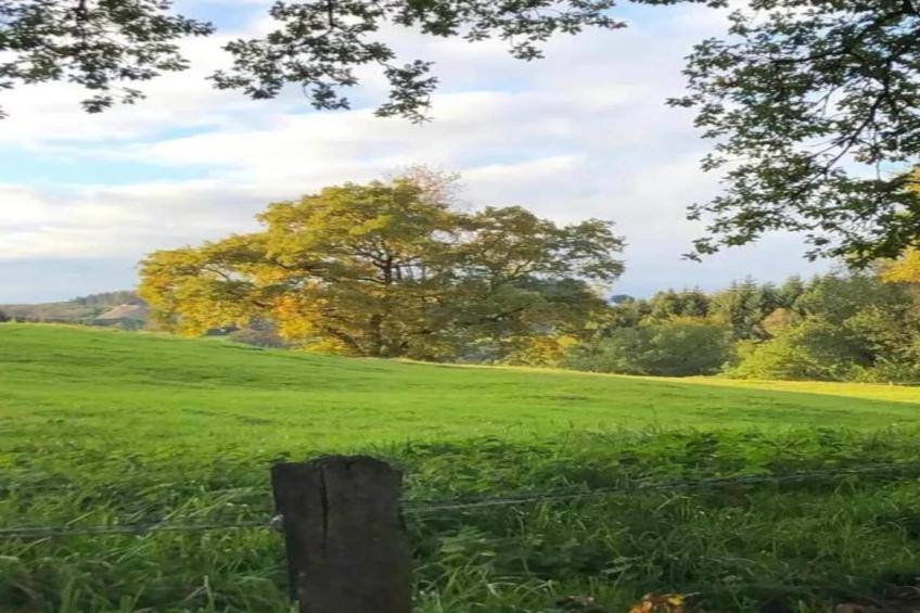 Ardennes Bleu 8 pers maximum - foto 36