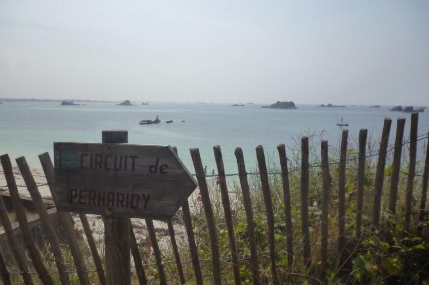 Die Ruhe des Landes am Meer in einer Region mit Gemüseanbau - foto 17