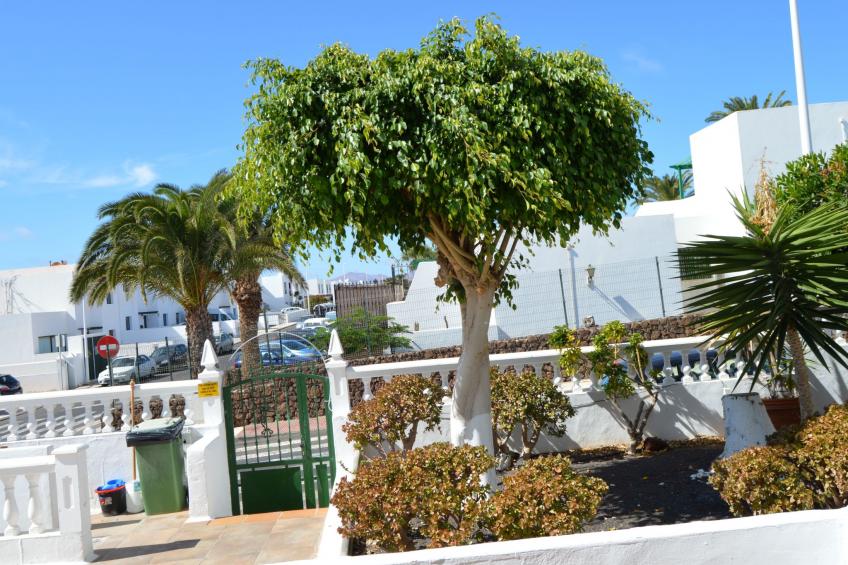 für 5 Personen ca. 65 m² in Puerto del Carmen, Lanzarote (Südküste von Lan - foto 29