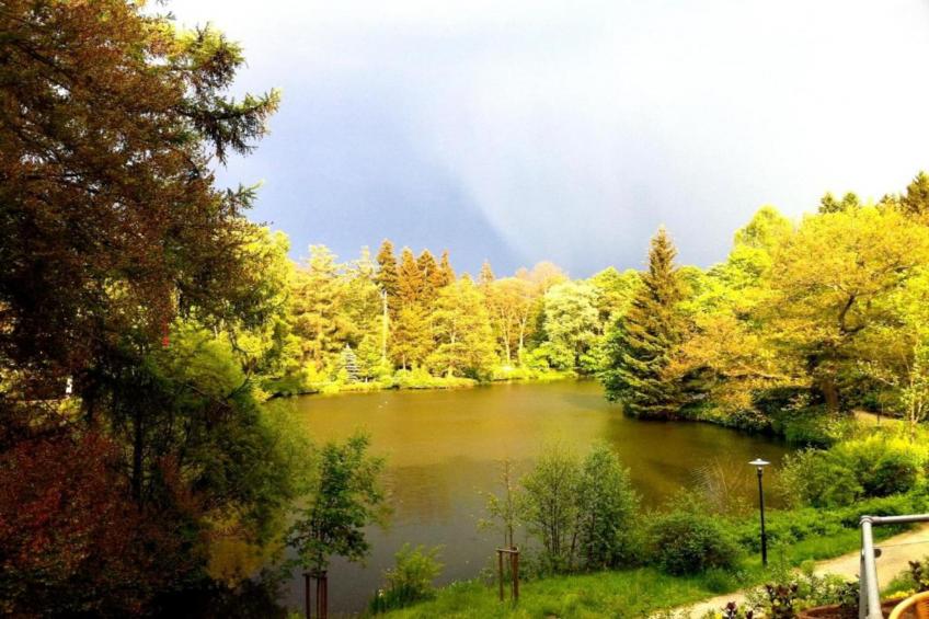 Bad Elster - foto 24