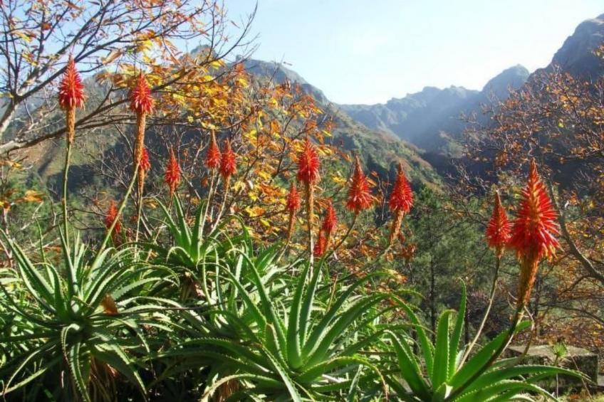 Seaview Refugium 633 - foto 14