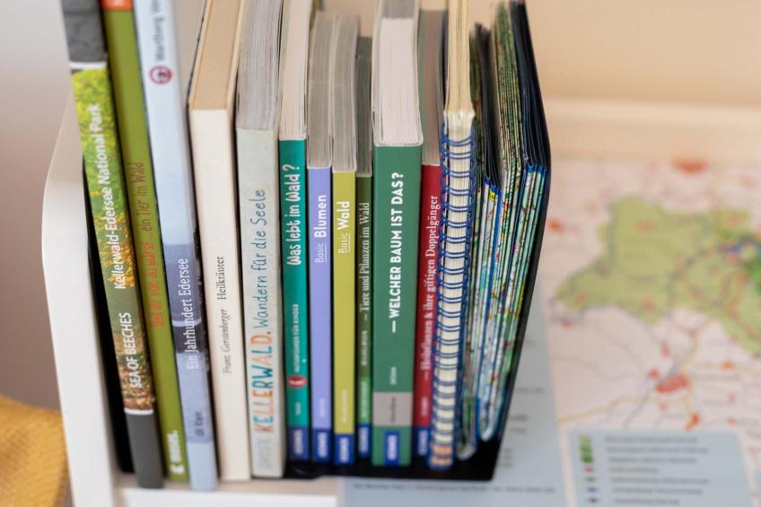 Overlook Lodge - foto 29