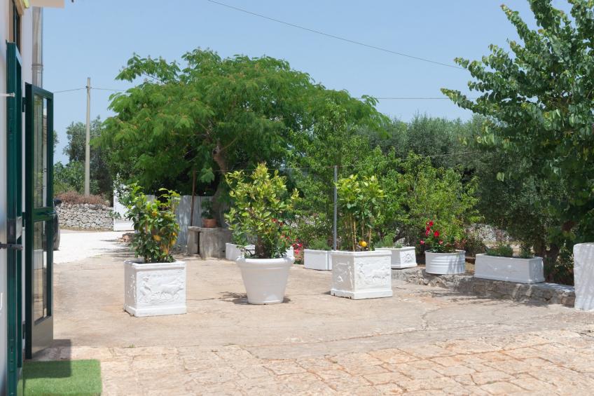 Lamia Papo in Ostuni - foto 24