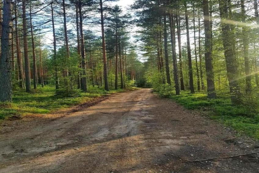 Abbas Stugby 14 - foto 30