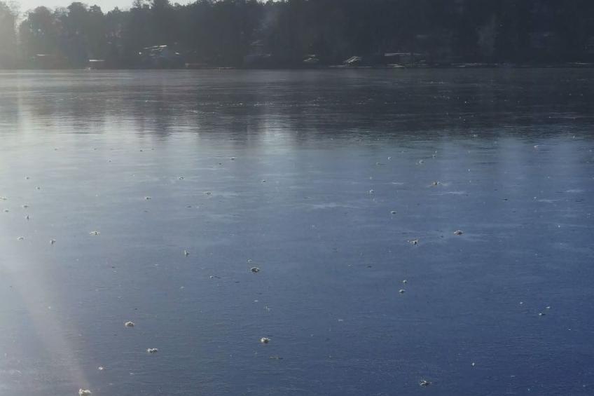 in Müggelheim mit eigener Terrasse - foto 19