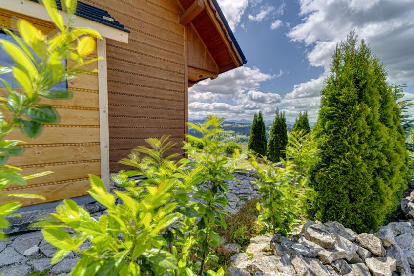 Spokój z Widokiem - foto 43