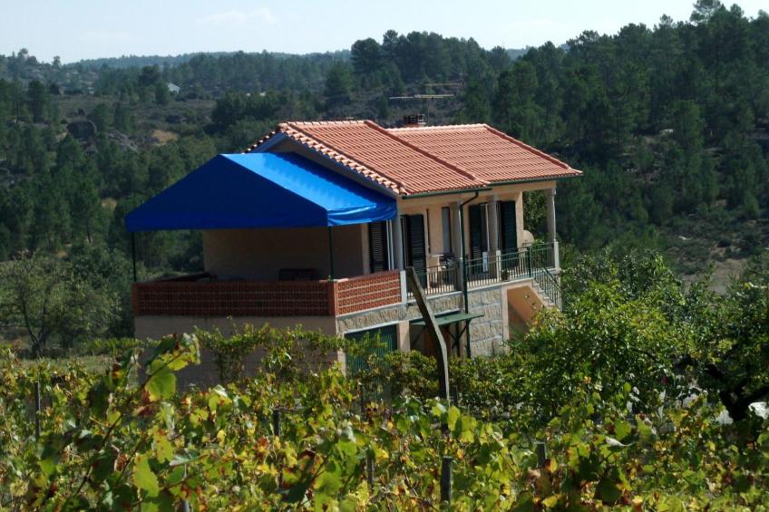Ferien auf dem Bauernhof mit Weinberg - foto 4