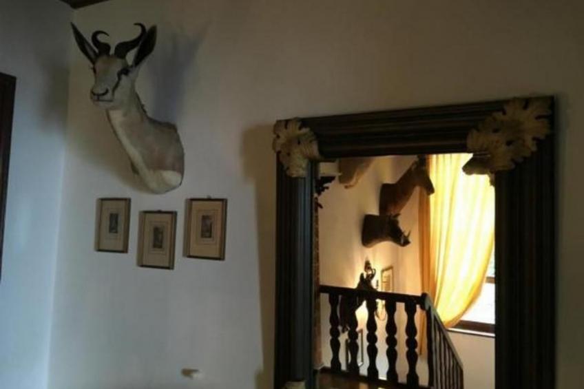 "Haus St. Bernhard - foto 31