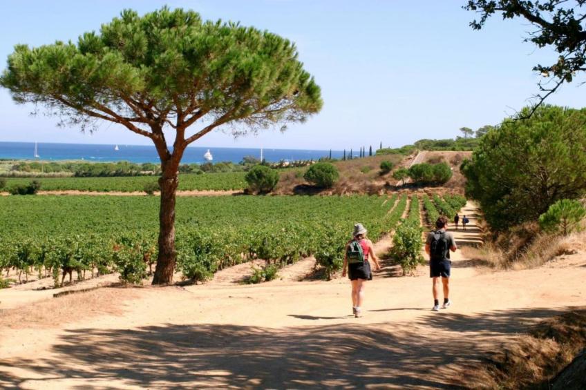 Villa - SAINT-TROPEZ - foto 36