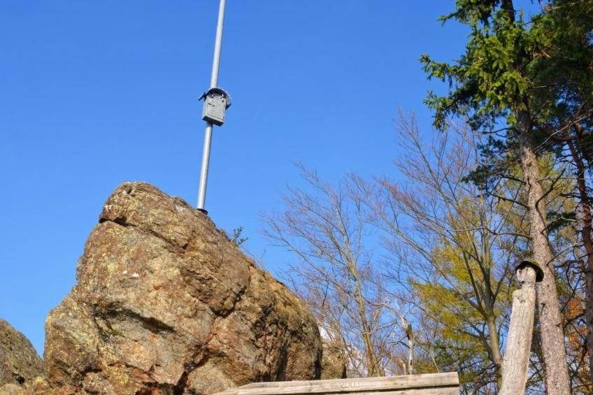 Zillendorf 2 - foto 18