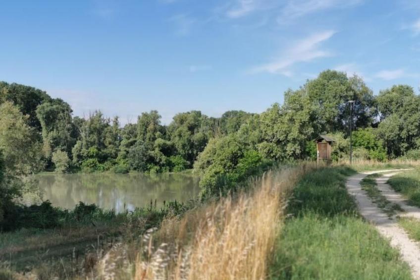 Ferienvilla 'Villa San Valentino - foto 50