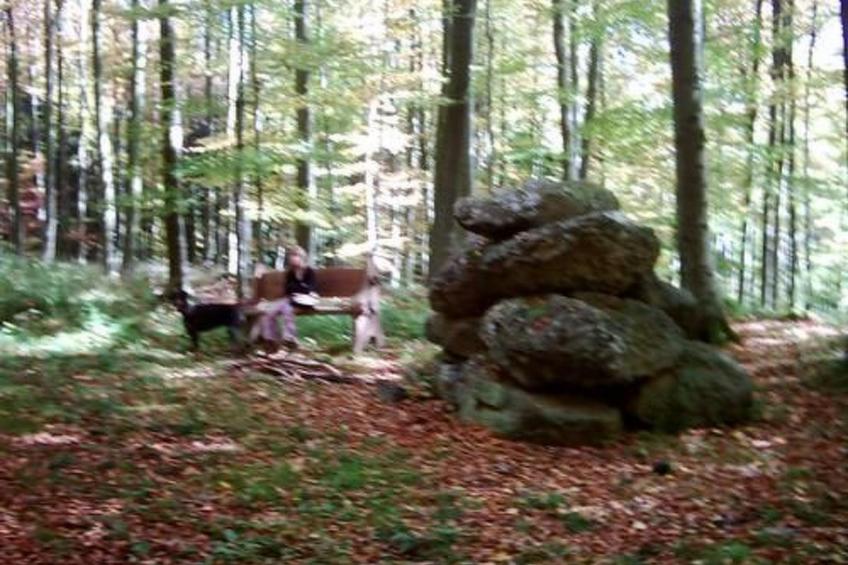 FEWO Juliana - foto 12