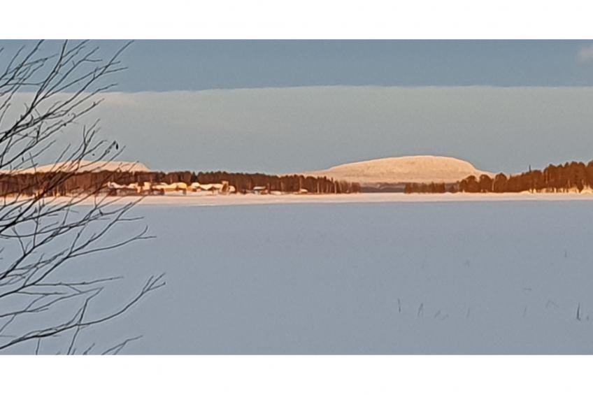 Koivulahden reinola - foto 38