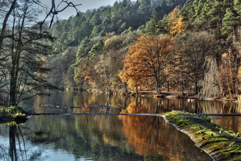 Villa Balmoral - foto 31