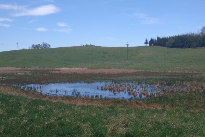 Vogelecke - abseits des Trubels und der Hektik - foto 18
