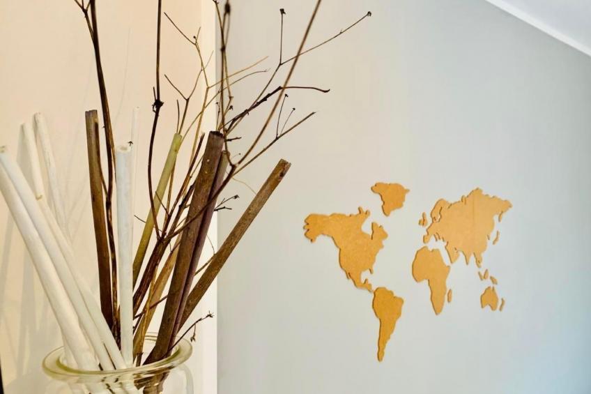 FeWo Oberwinter Bonn - foto 18