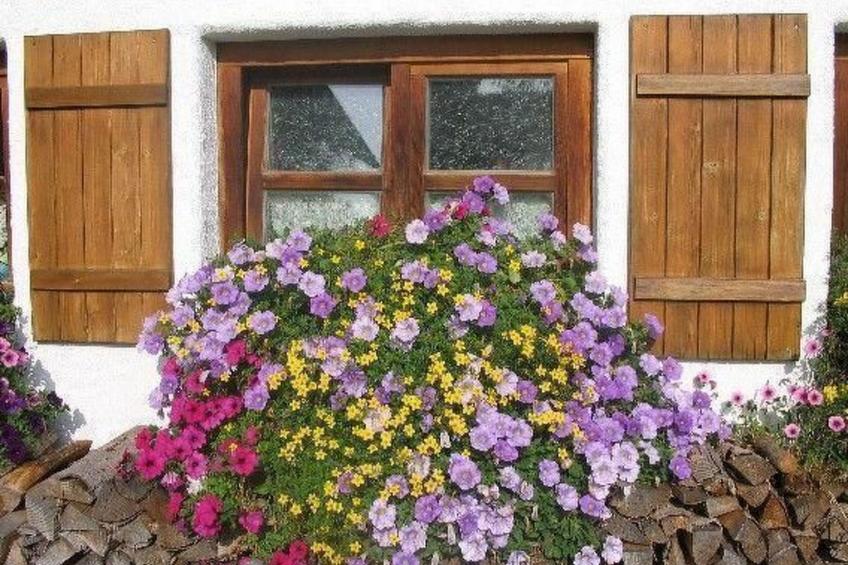 für 4 Personen im Bayerischen Wald - foto 12