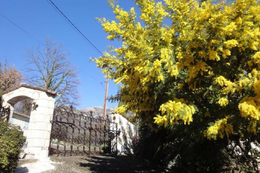 Locations-06 - Die Eugenie - foto 42