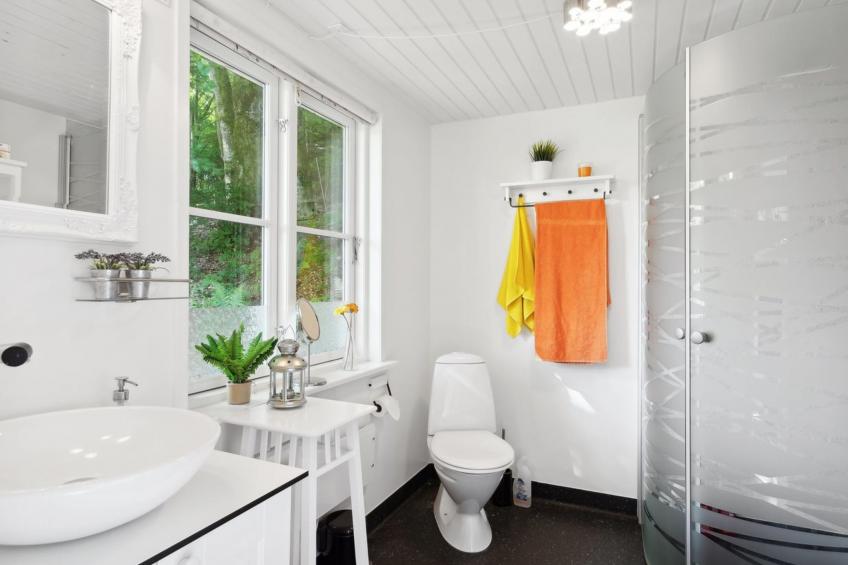 "Ginne" - 100m to the inlet in The Liim Fiord - foto 14