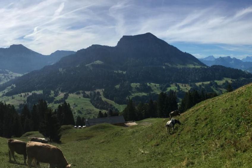 Alp Scherlet - foto 8