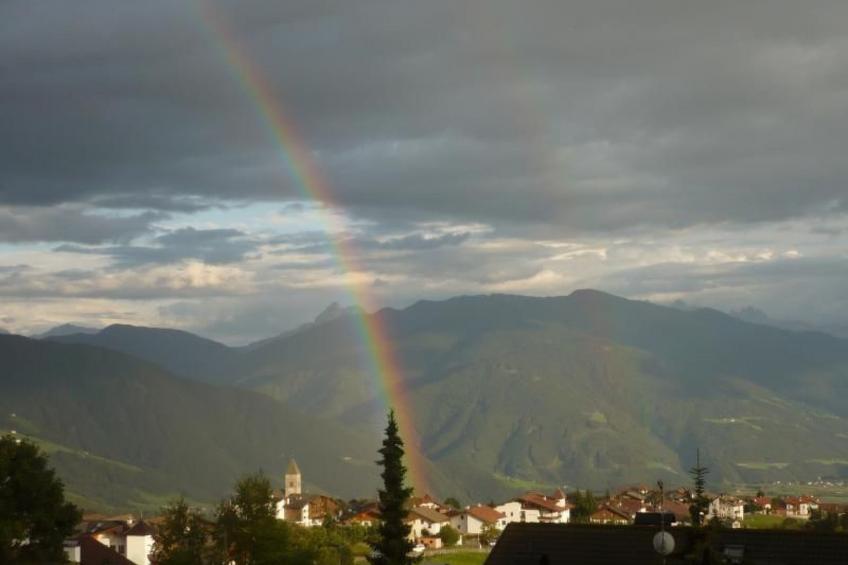 Haus Adler - foto 33