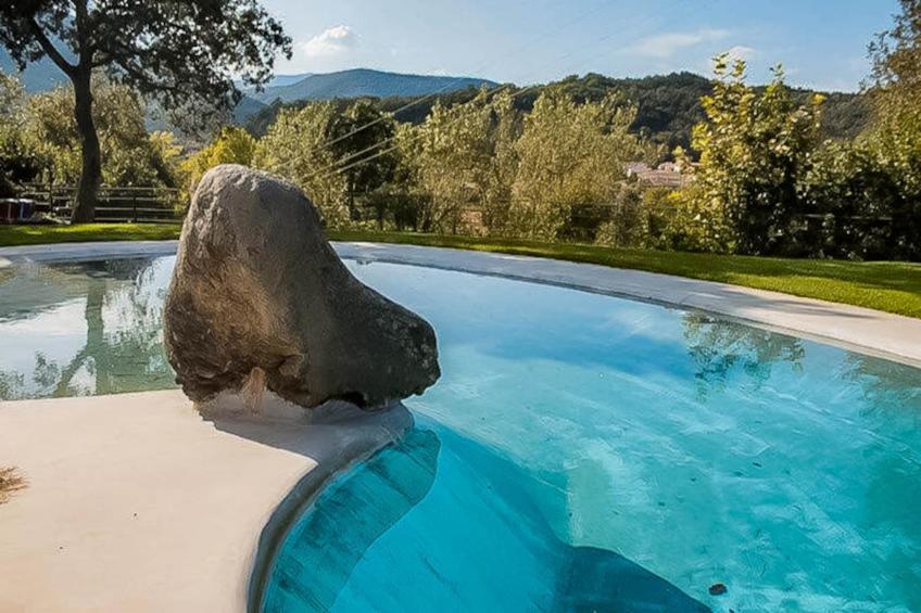 Maison à Sant Feliu de Pallerols - foto 24