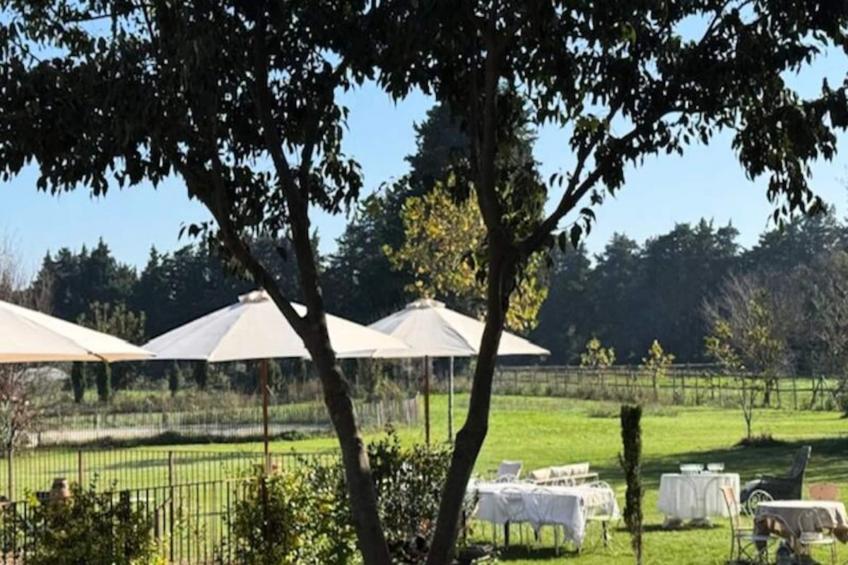 Magnifique Maison Bourgeoise Rénovée Avec élégance Et Style Art Déco - foto 10