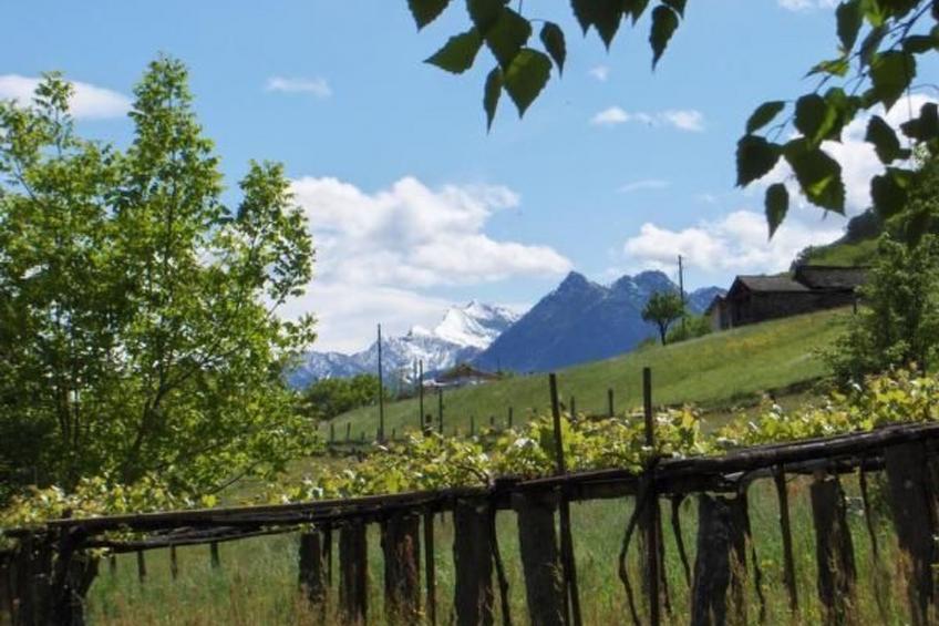 Casa Giardino Grande - foto 20