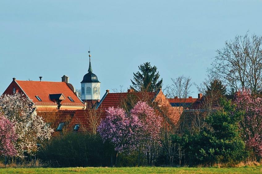 Havel-Domizil - foto 25