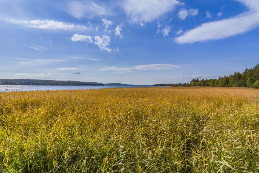 Niittyvilla - foto 21