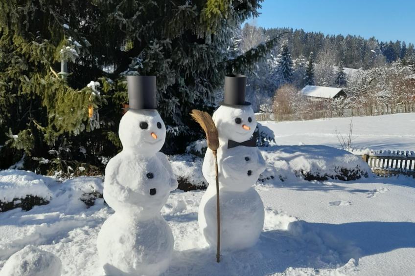 Ferienhaus Mühlberg (SPG101) - foto 32