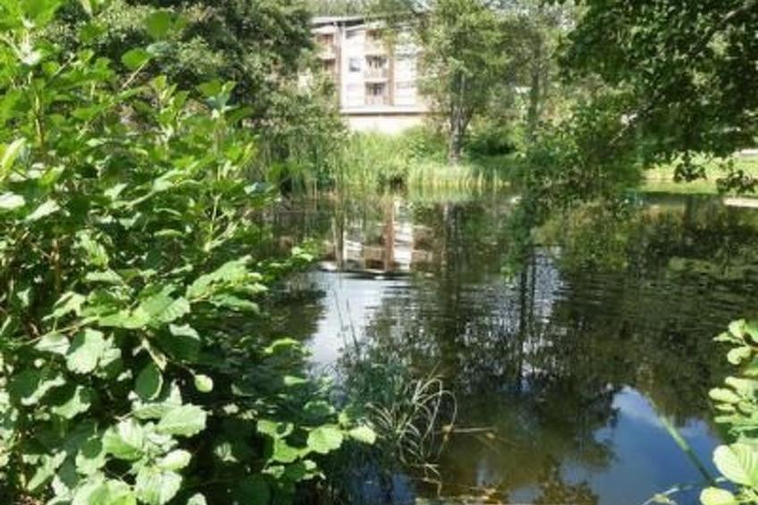 Kurhotel Schluchsee, 4-Bettwohnung - foto 38