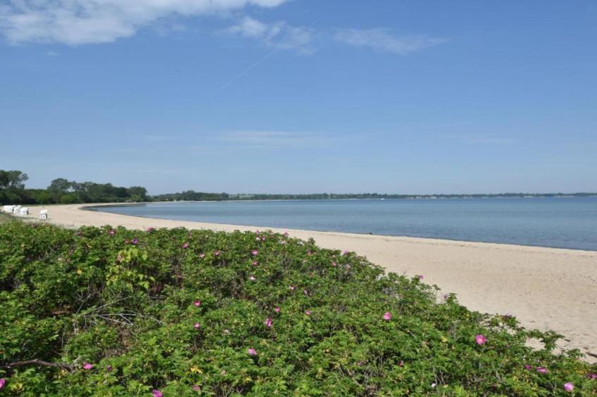 Ostseewind - foto 23